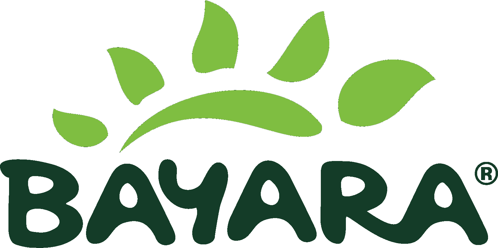 Bayara